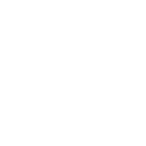 BW_logo_neu_300x300_weiss